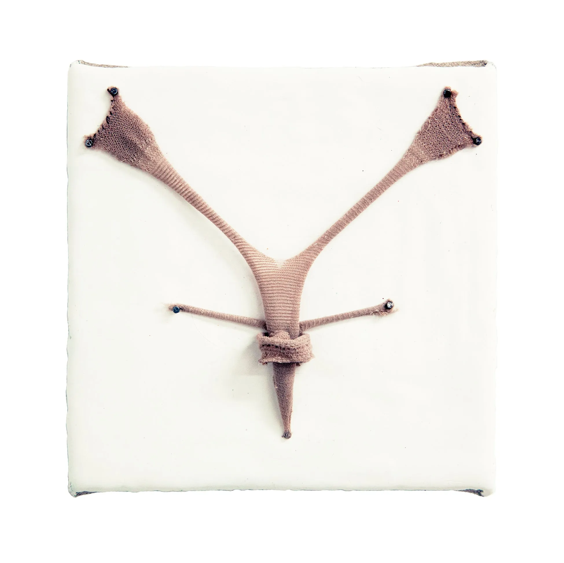 Chambliss Giobbi, "Lightweight"