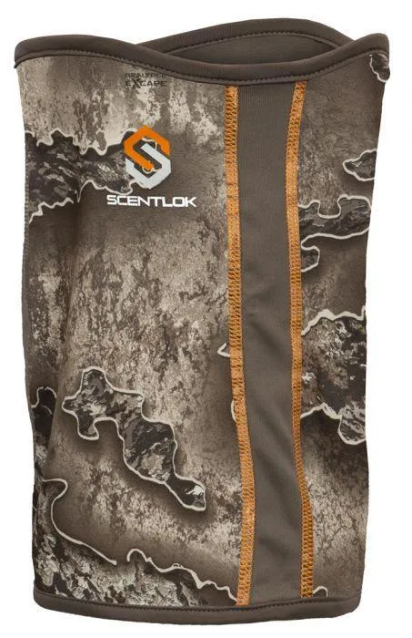 Lightweight Multi-Paneled Facemask