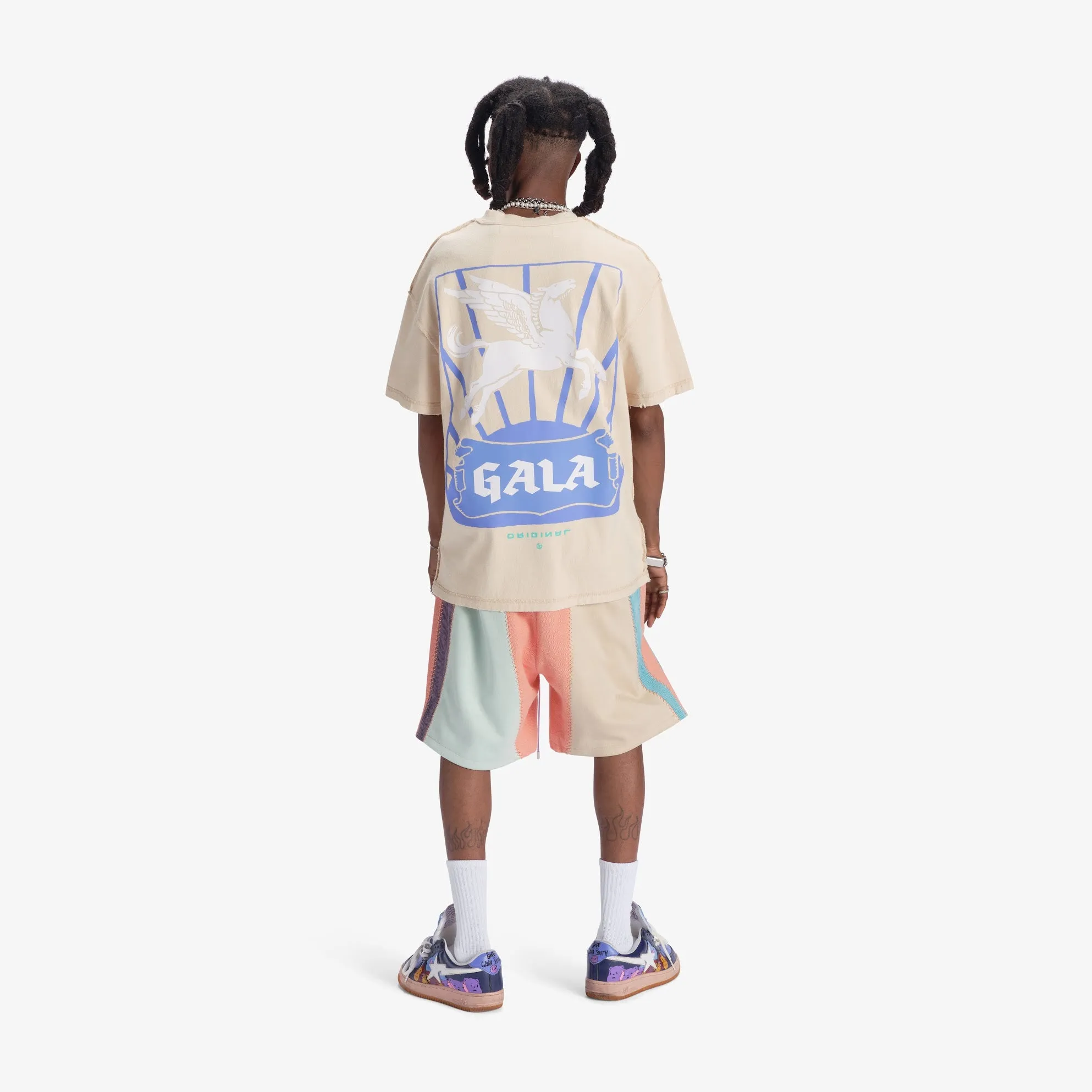 "Slicer" Panel Shorts (coral/mint)