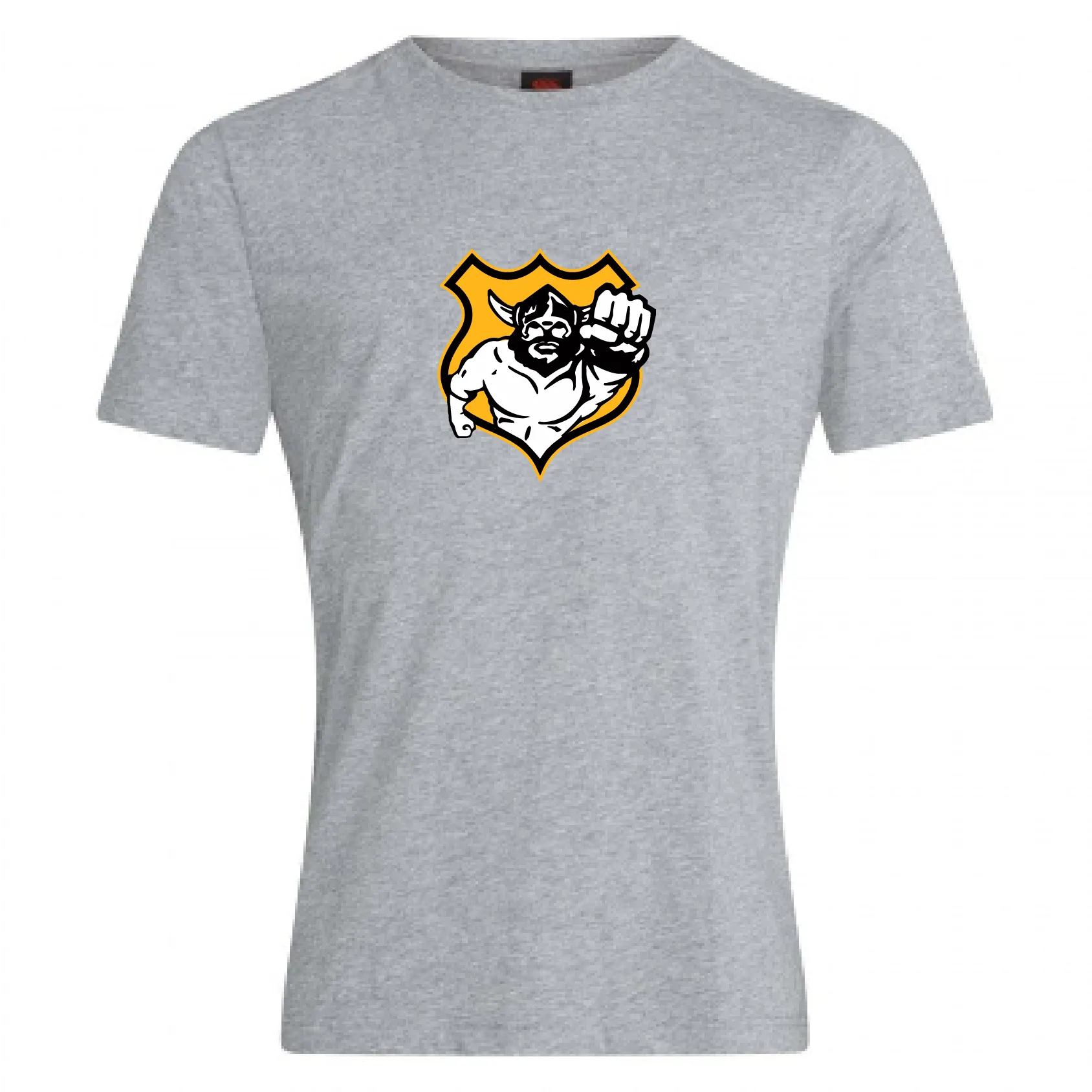 Seattle Vikings Rugby Club Plain Tee by Canterbury