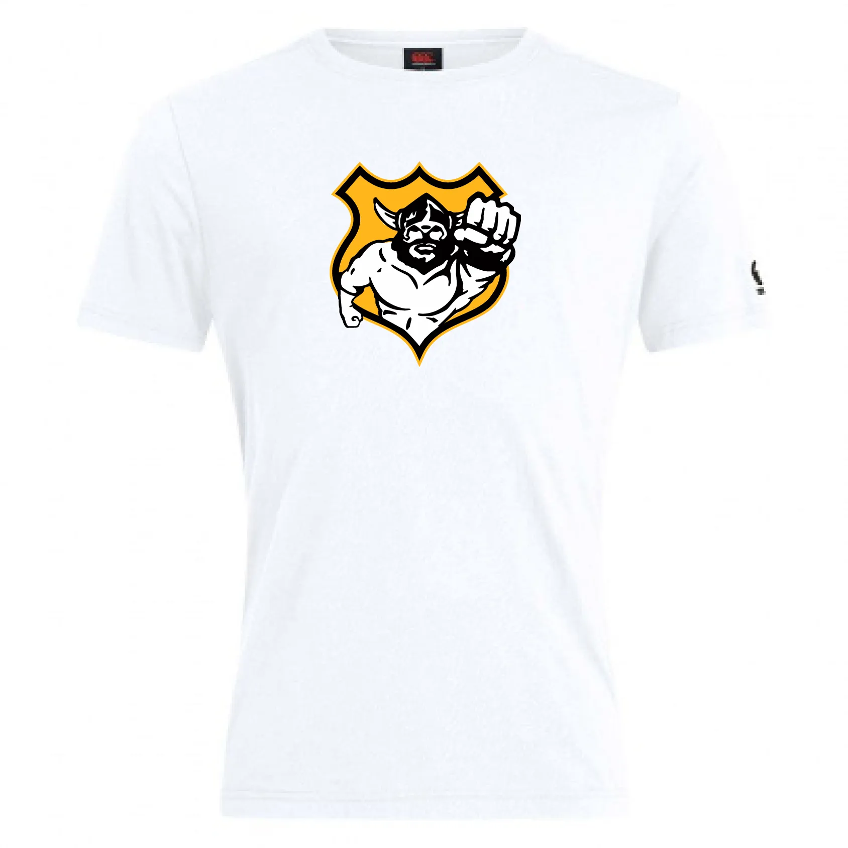 Seattle Vikings Rugby Club Plain Tee by Canterbury