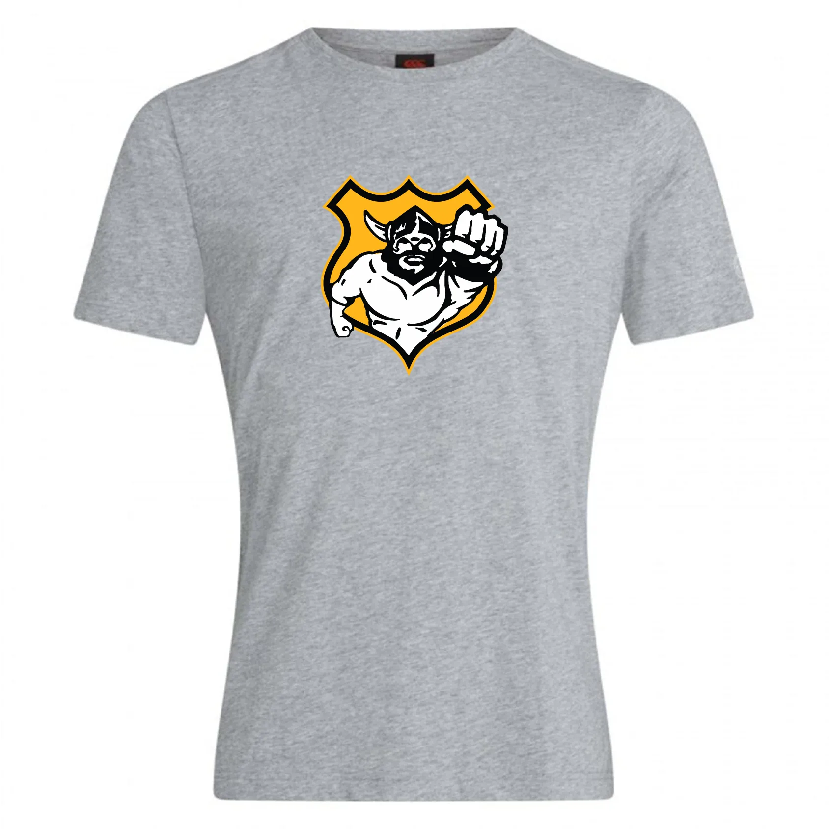 Seattle Vikings Rugby Club Plain Tee by Canterbury